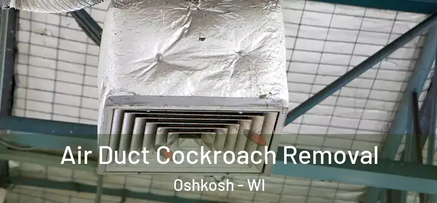  Air Duct Cockroach Removal Oshkosh - WI