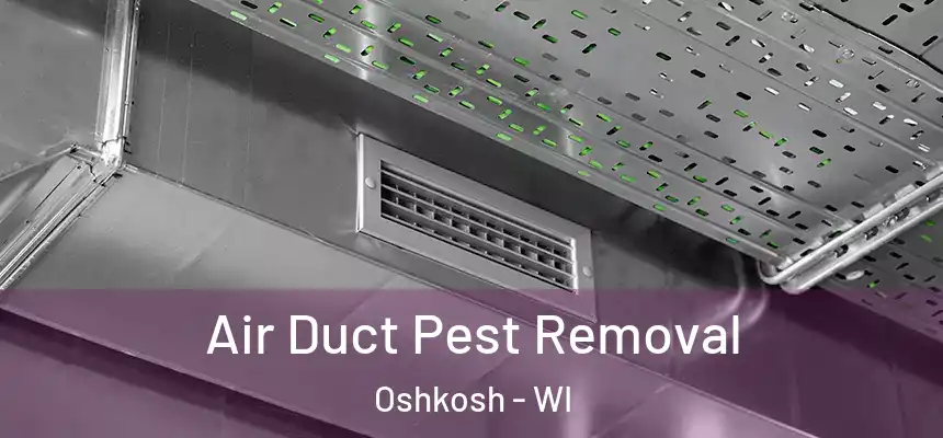 Air Duct Pest Removal Oshkosh - WI