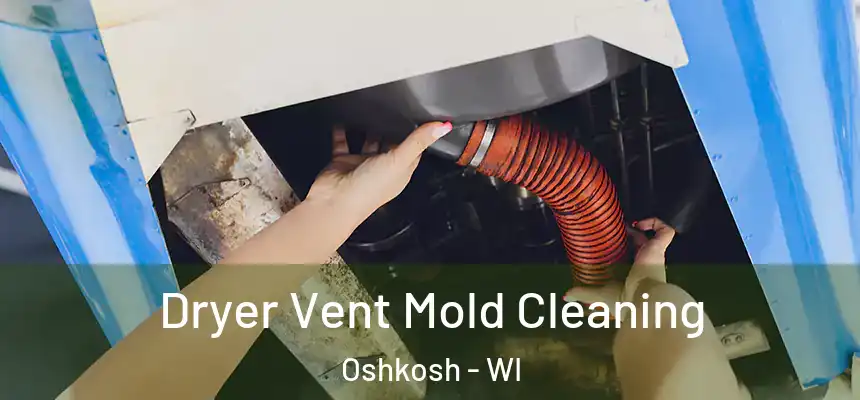 Dryer Vent Mold Cleaning Oshkosh - WI