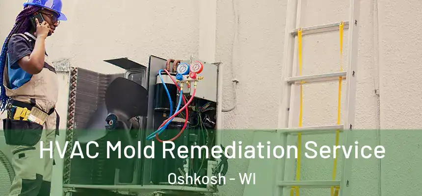 HVAC Mold Remediation Service Oshkosh - WI