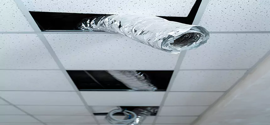 Our Air Duct Pet Hair Removal Services in Oshkosh, WI