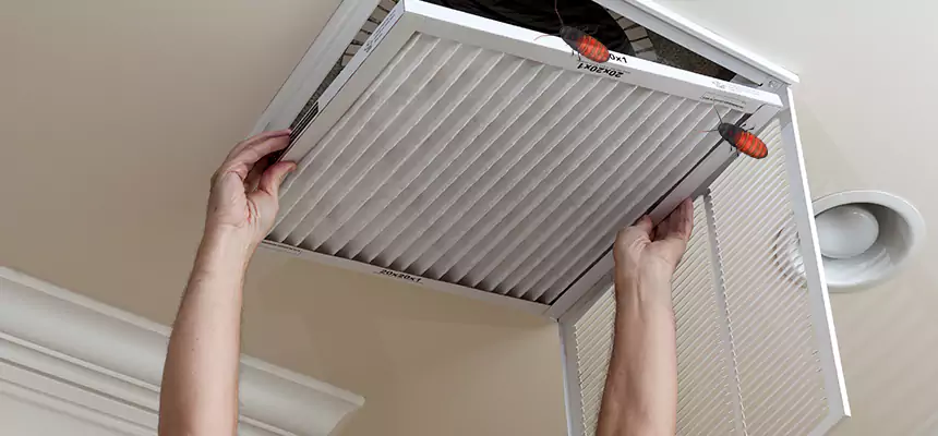 Our Insect Removal from Air Ducts Services in Oshkosh, WI
