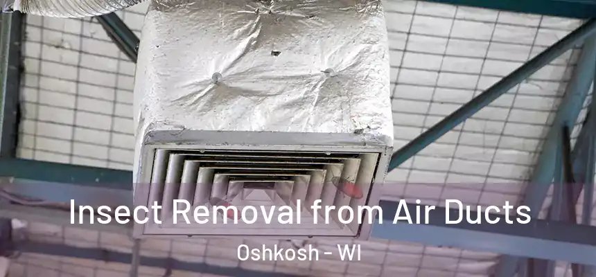 Insect Removal from Air Ducts Oshkosh - WI