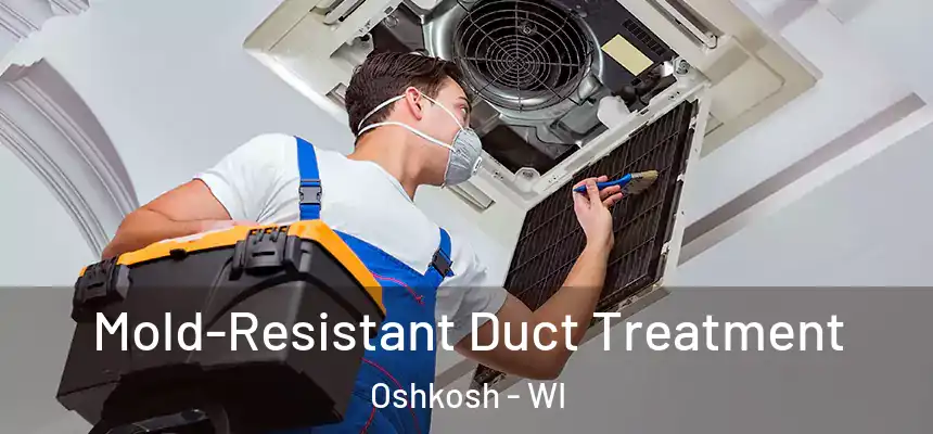 Mold-Resistant Duct Treatment Oshkosh - WI