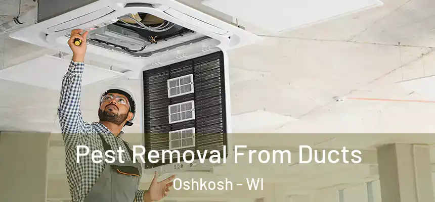 Pest Removal From Ducts Oshkosh - WI