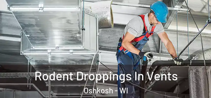 Rodent Droppings In Vents Oshkosh - WI