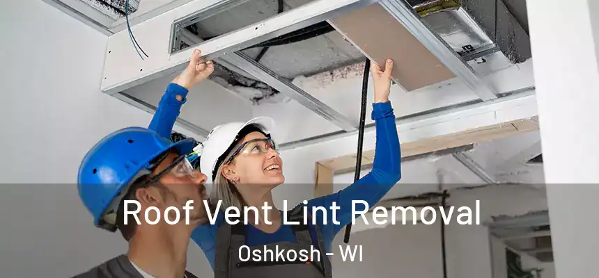 Roof Vent Lint Removal Oshkosh - WI
