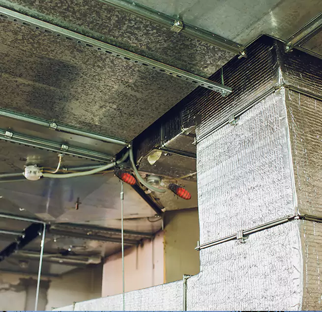 Why Homeowners & Businesses Trust Us Oshkosh, WI?